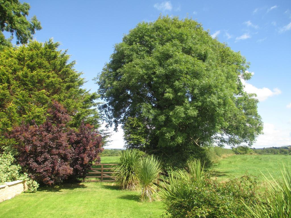 Tralia Farmhouse Self Catering ファランフォー エクステリア 写真