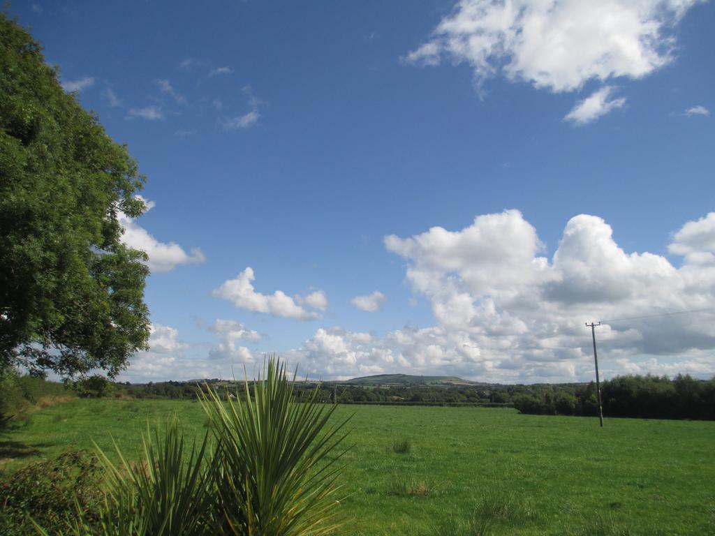 Tralia Farmhouse Self Catering ファランフォー エクステリア 写真