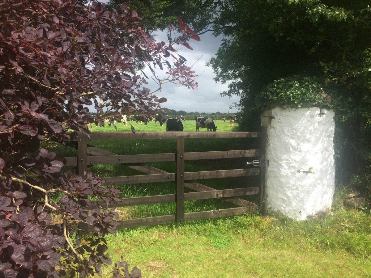 Tralia Farmhouse Self Catering ファランフォー エクステリア 写真