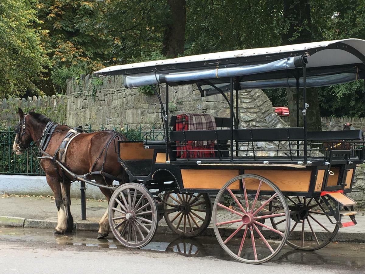 Tralia Farmhouse Self Catering ファランフォー エクステリア 写真